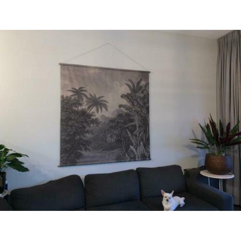 Schoolplaat jungle xxl