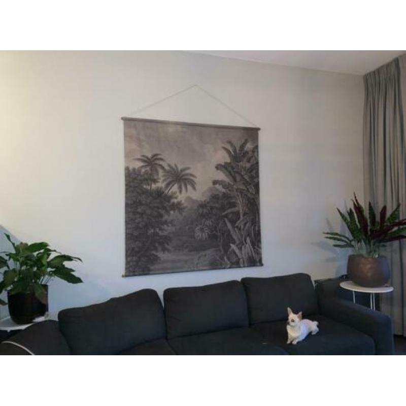 Schoolplaat jungle xxl