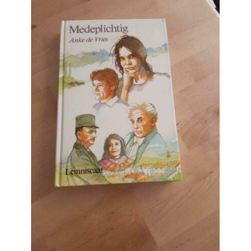 Medeplichtig, Anke de Vries