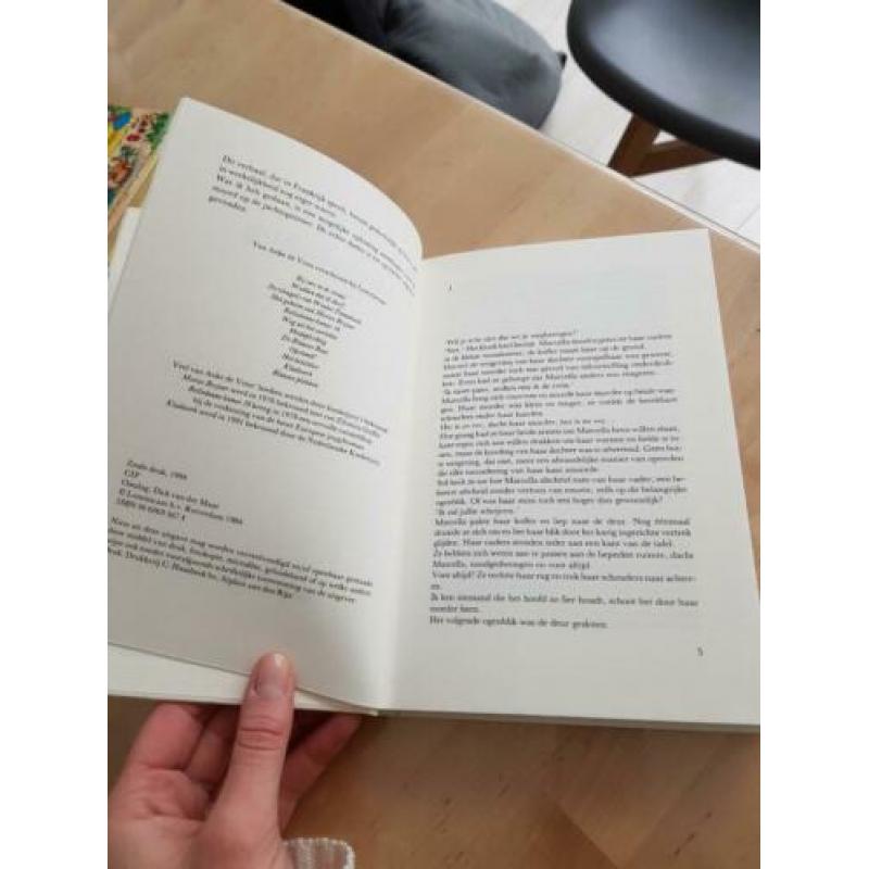 Medeplichtig, Anke de Vries