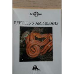 Reptiles & Amphibians reptielen, amfibieen slangen etc nieuw