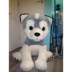 Grote honden knuffel