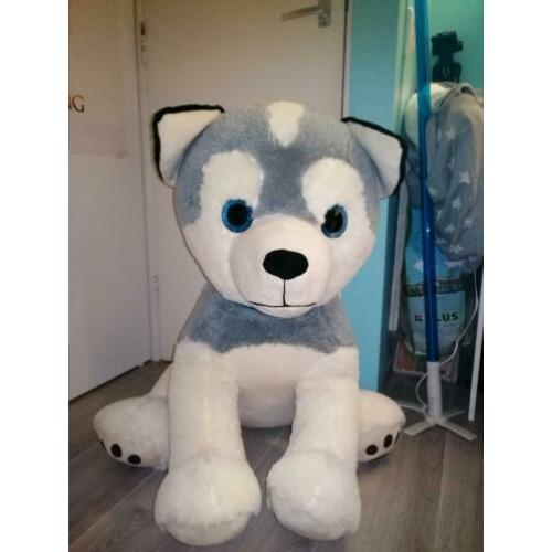 Grote honden knuffel