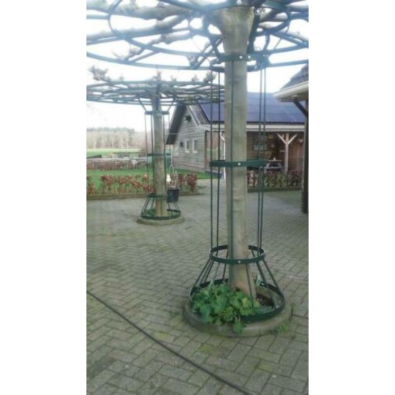 Frame voor dak bomen.
