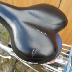 Batavus Padova Easy framemaat 55