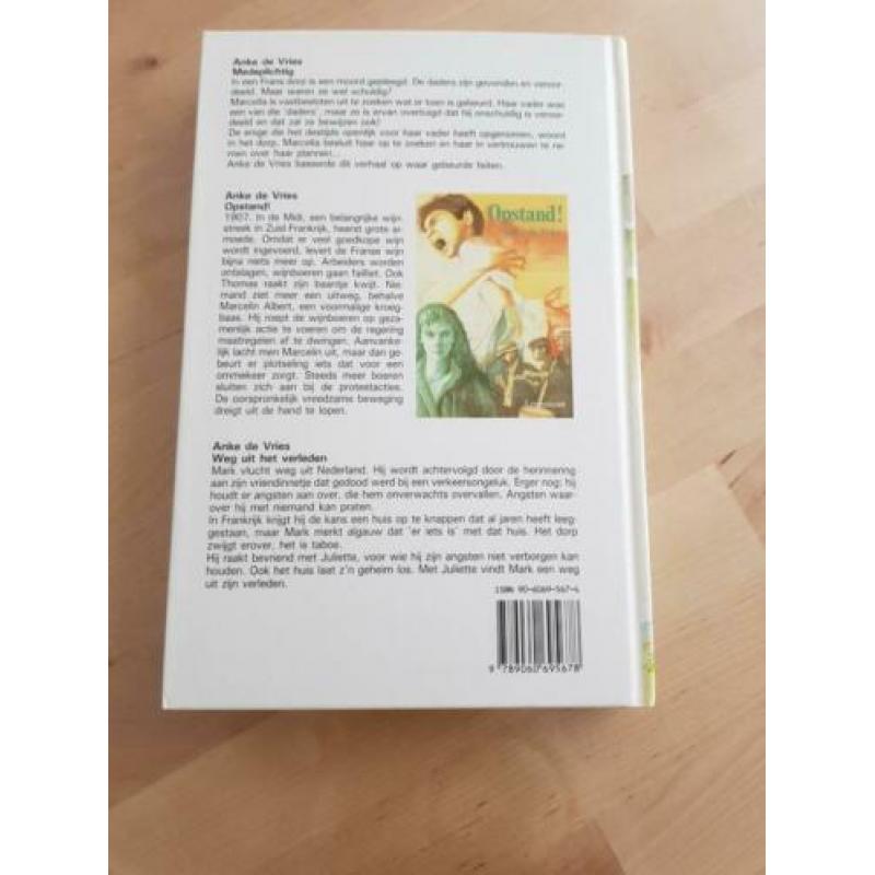 Medeplichtig, Anke de Vries