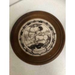 12 Dierenriem ronde wandborden van 22 cm doorsnede