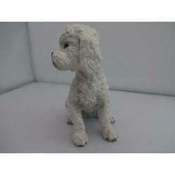Porseleinen witte Poedel van Goebel no: 66-962-65-5