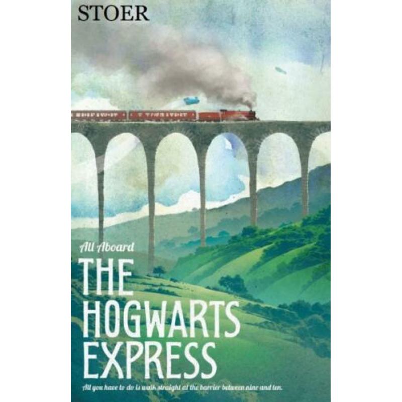 Harry Potter Hogsmeade Zweinsveld poster boeken dvd bluray