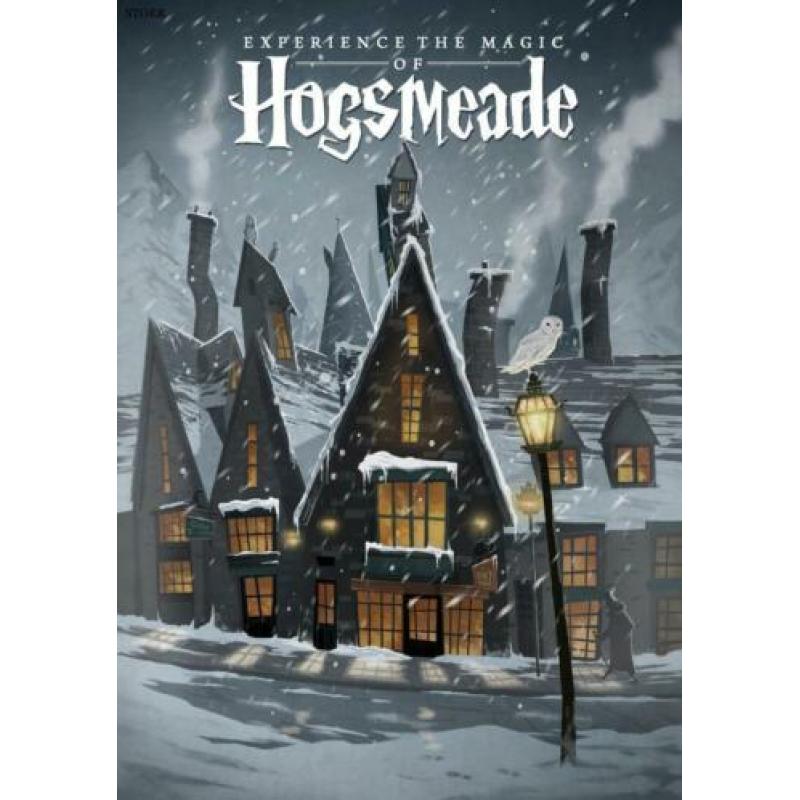 Harry Potter Hogsmeade Zweinsveld poster boeken dvd bluray