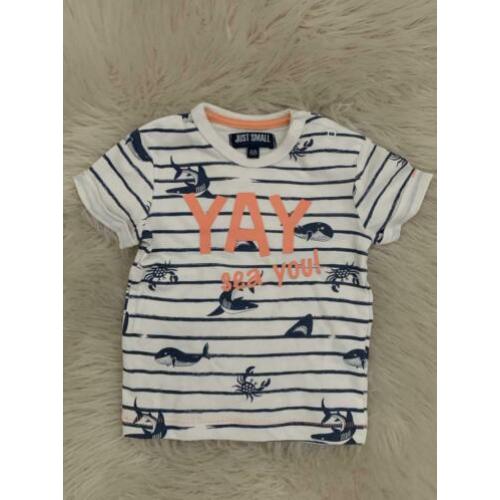 • 8 t-shirtjes maat 68 •