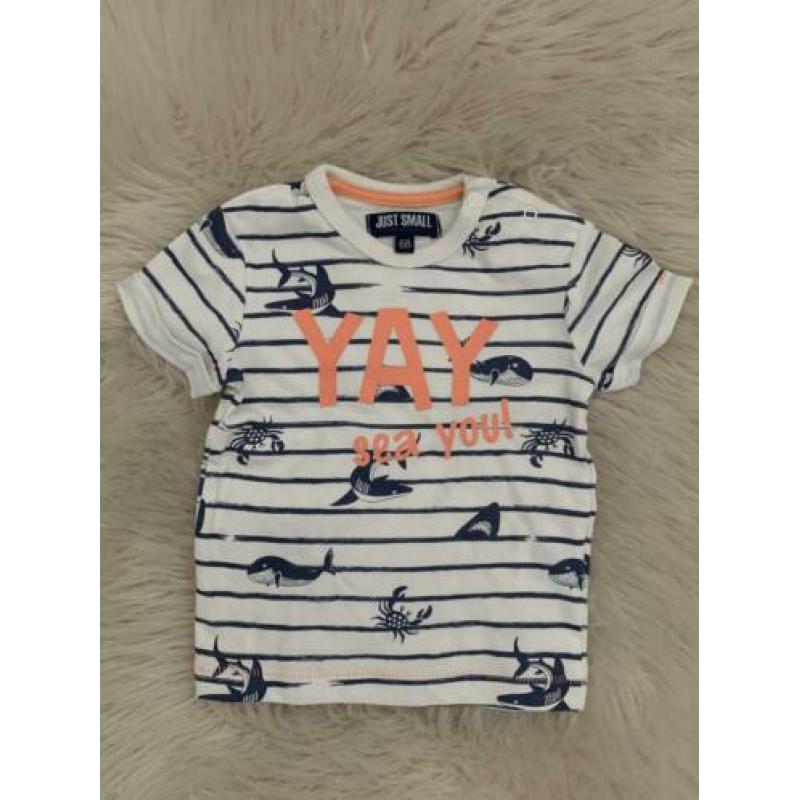 • 8 t-shirtjes maat 68 •