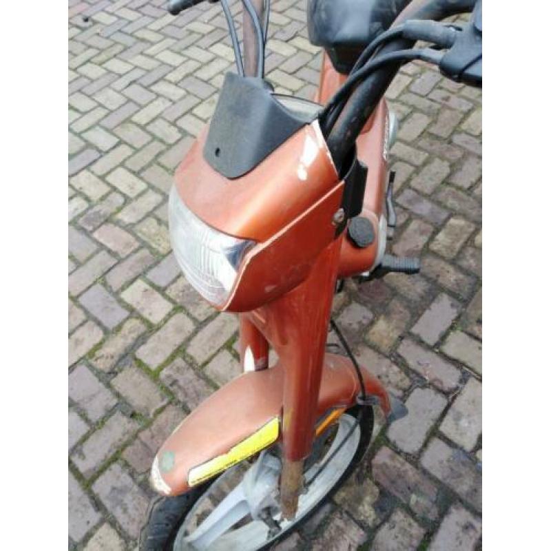 Peugeot fox