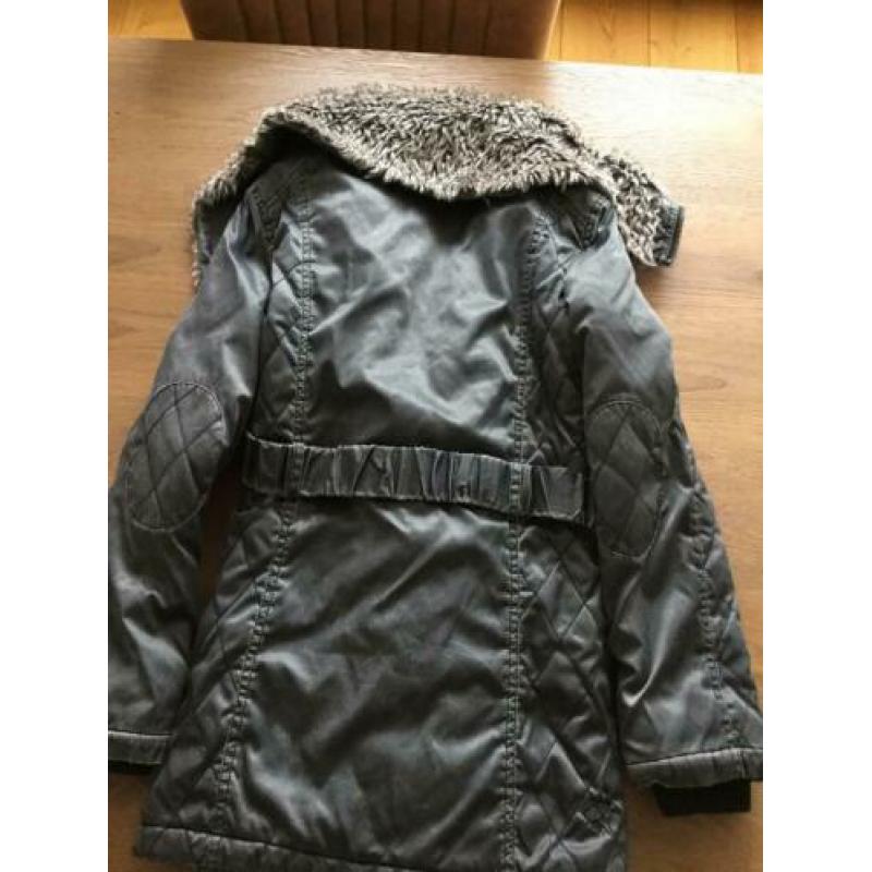 Hound winterjas maat L