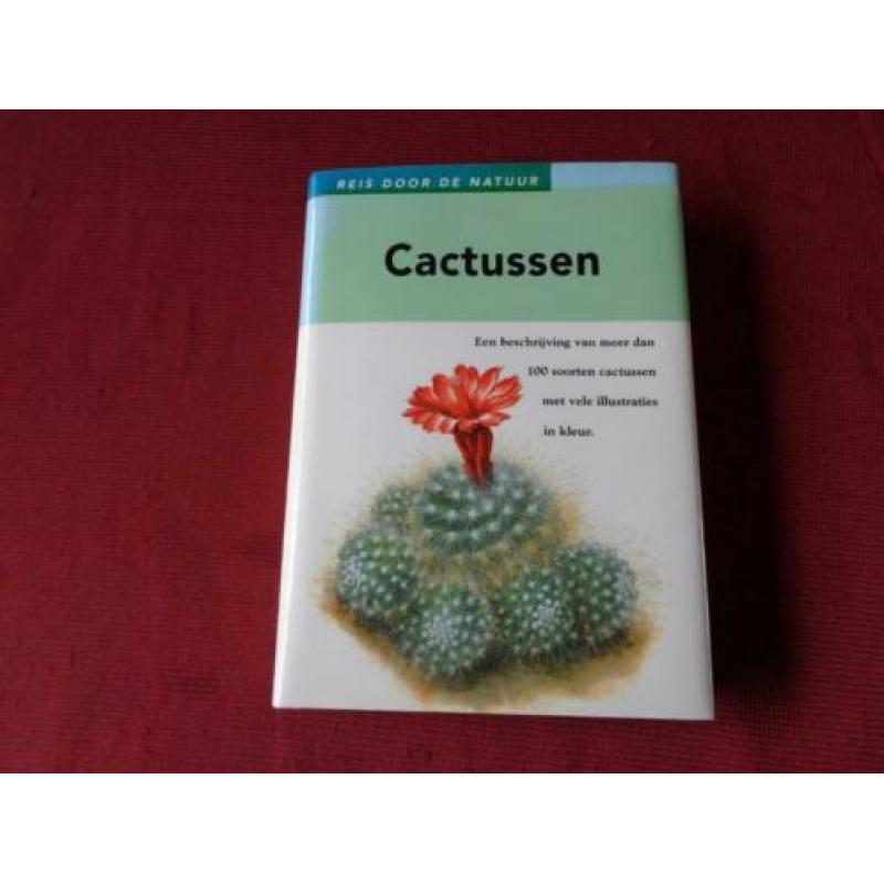 Een reis door de natuur CACTUSSEN