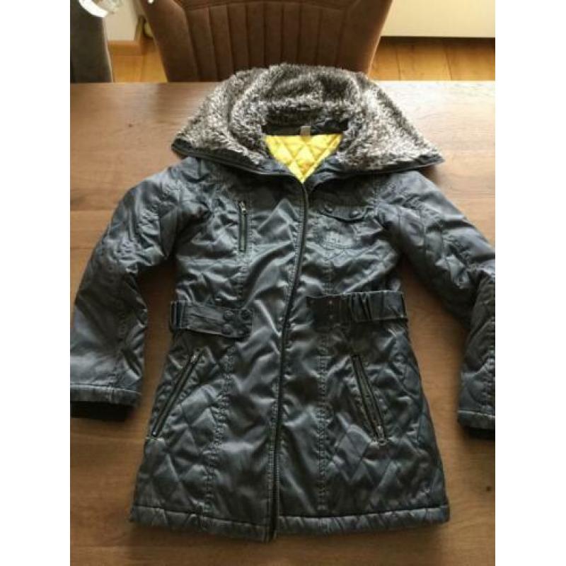 Hound winterjas maat L