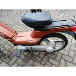 Peugeot fox