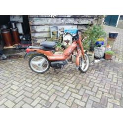 Peugeot fox