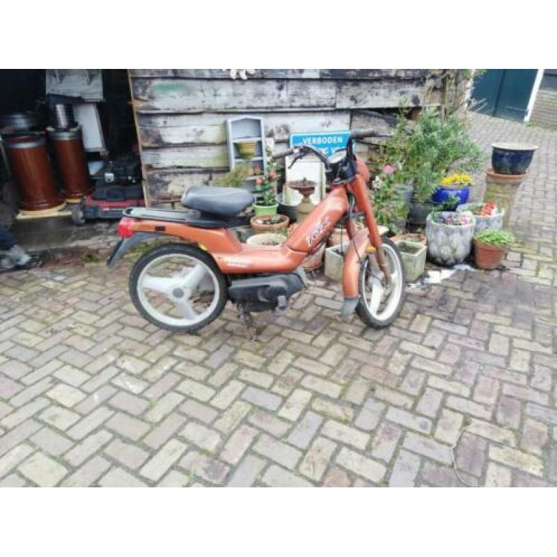 Peugeot fox