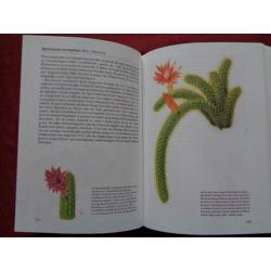 Een reis door de natuur CACTUSSEN