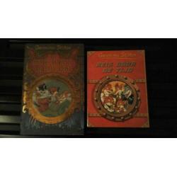 Geronimo Stilton.