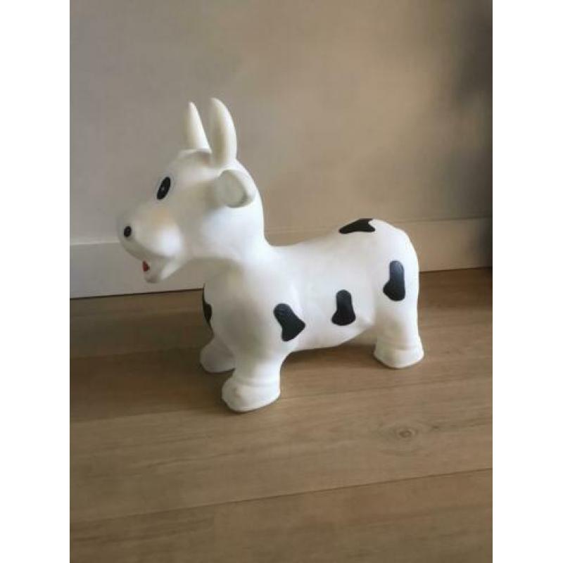 Skippybal koe