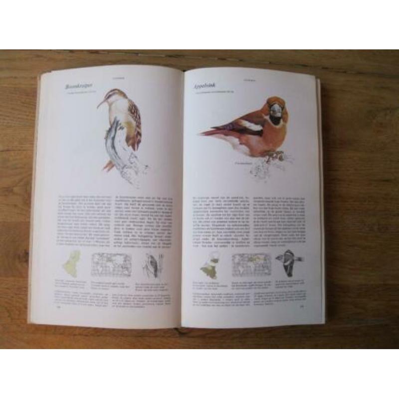 dieren
