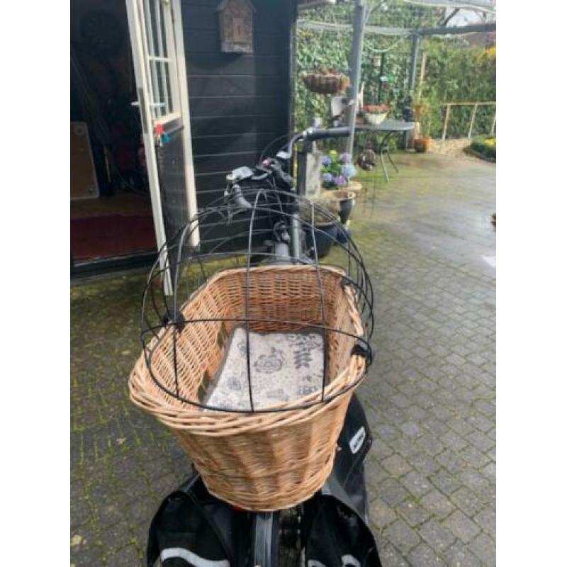 hondenfietsmand