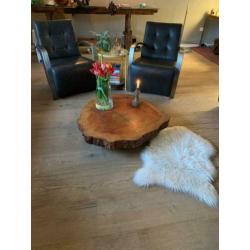 Boomstam salontafel XL mangohout