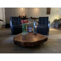 Boomstam salontafel XL mangohout