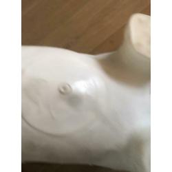 Skippybal koe