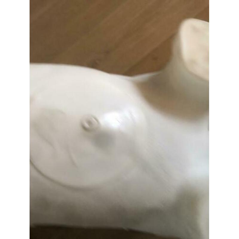 Skippybal koe
