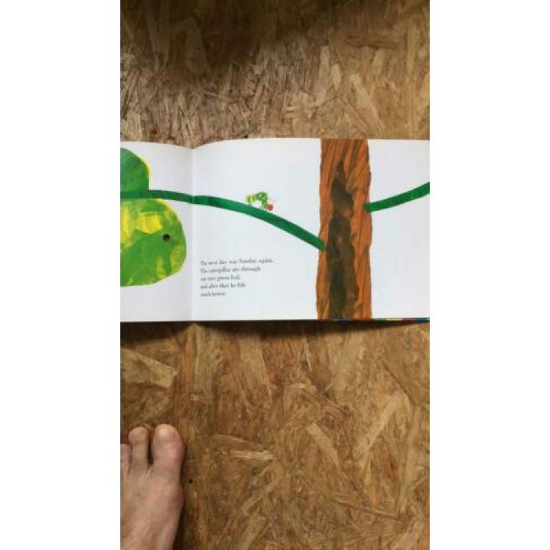 The very hungry caterpillar Eric Carle