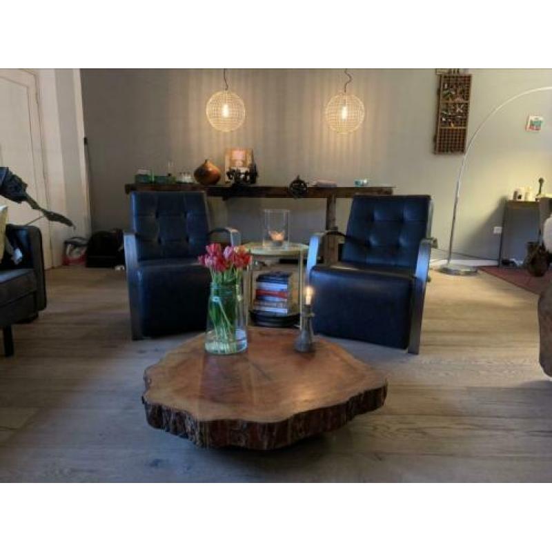 Boomstam salontafel XL mangohout