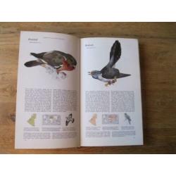 dieren
