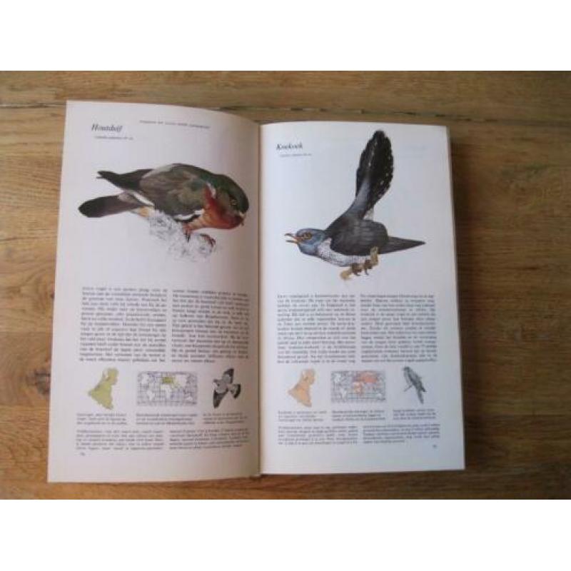 dieren