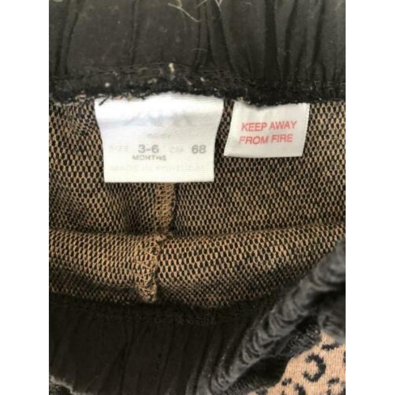 Zara - Tijger/leopard broekje maat 68