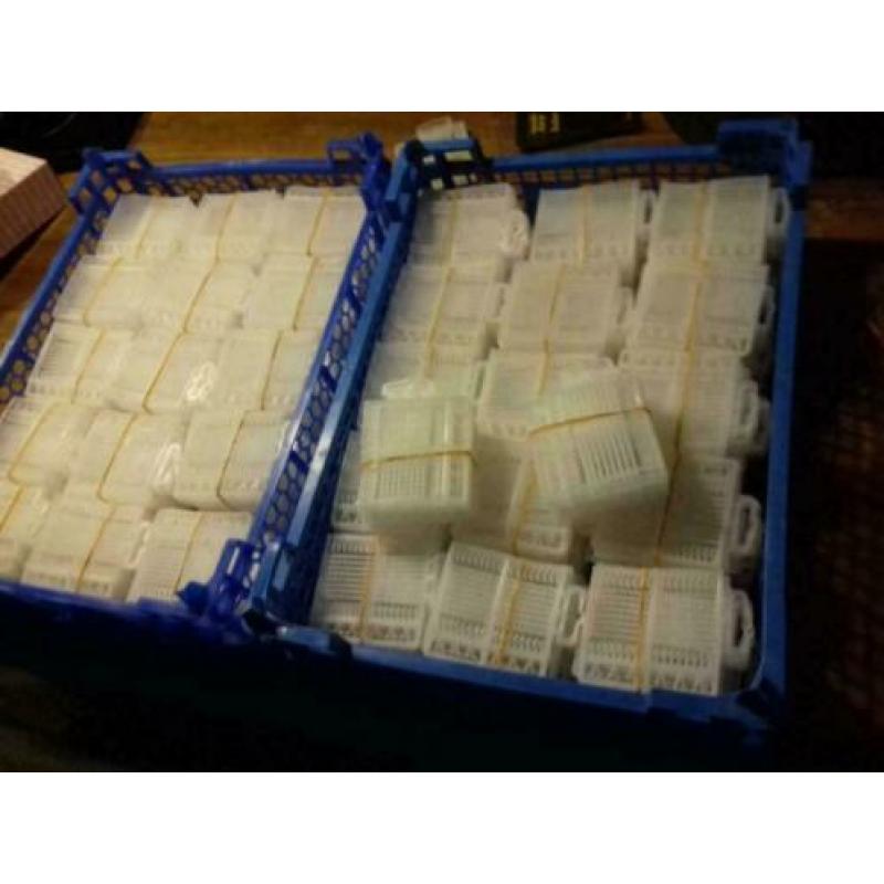 boilie stoppers, karpermateriaal,karperset,karperspullen,vis