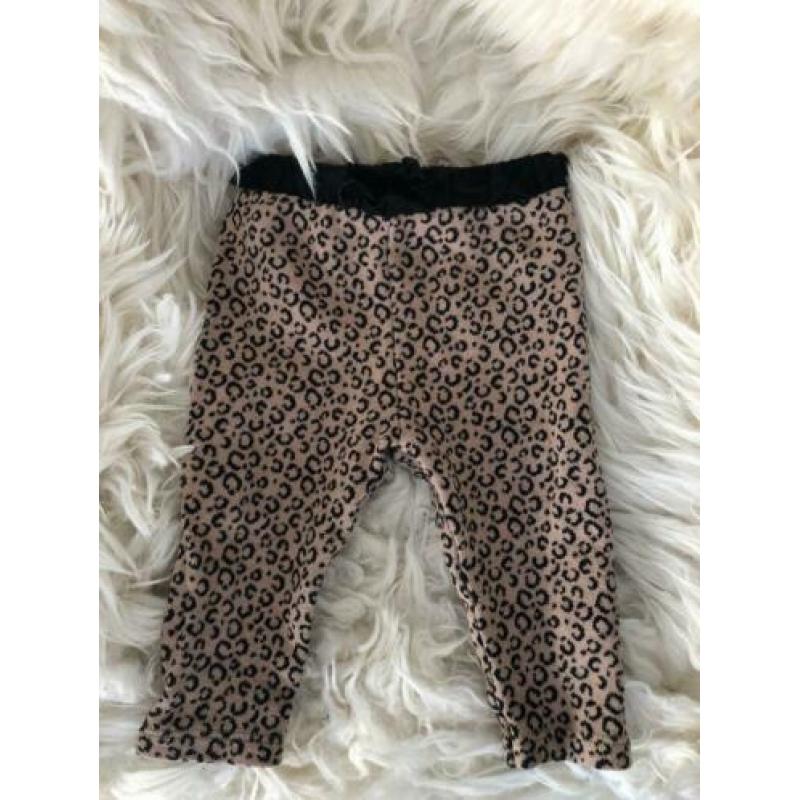 Zara - Tijger/leopard broekje maat 68