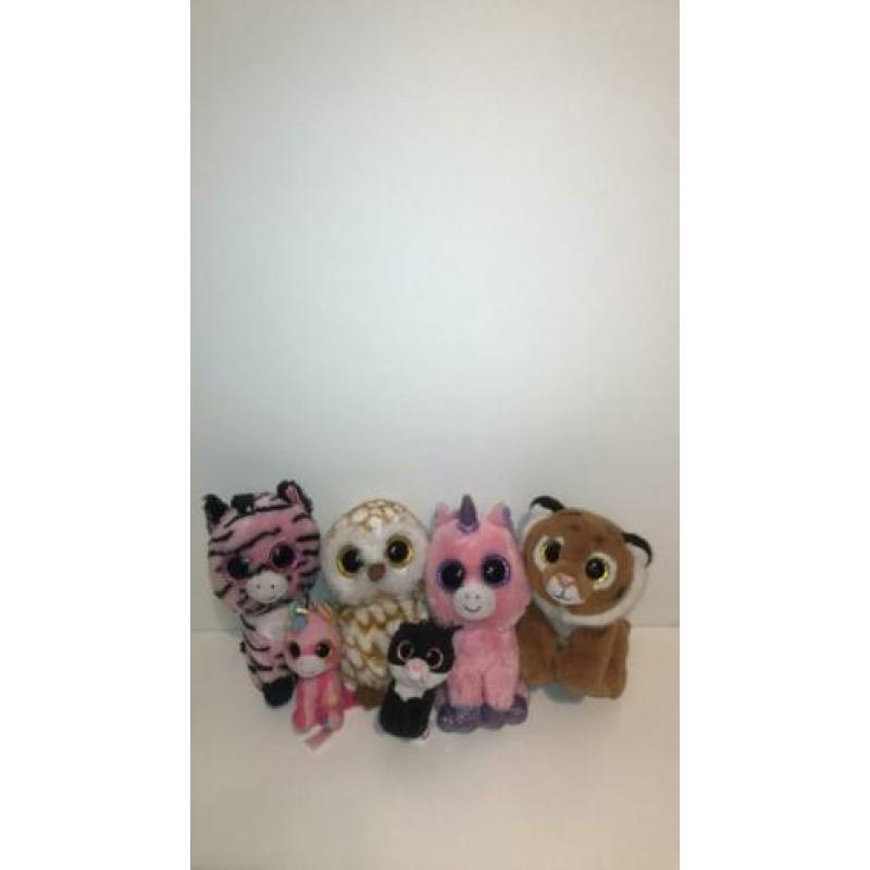 Ty knuffels 6 stuks