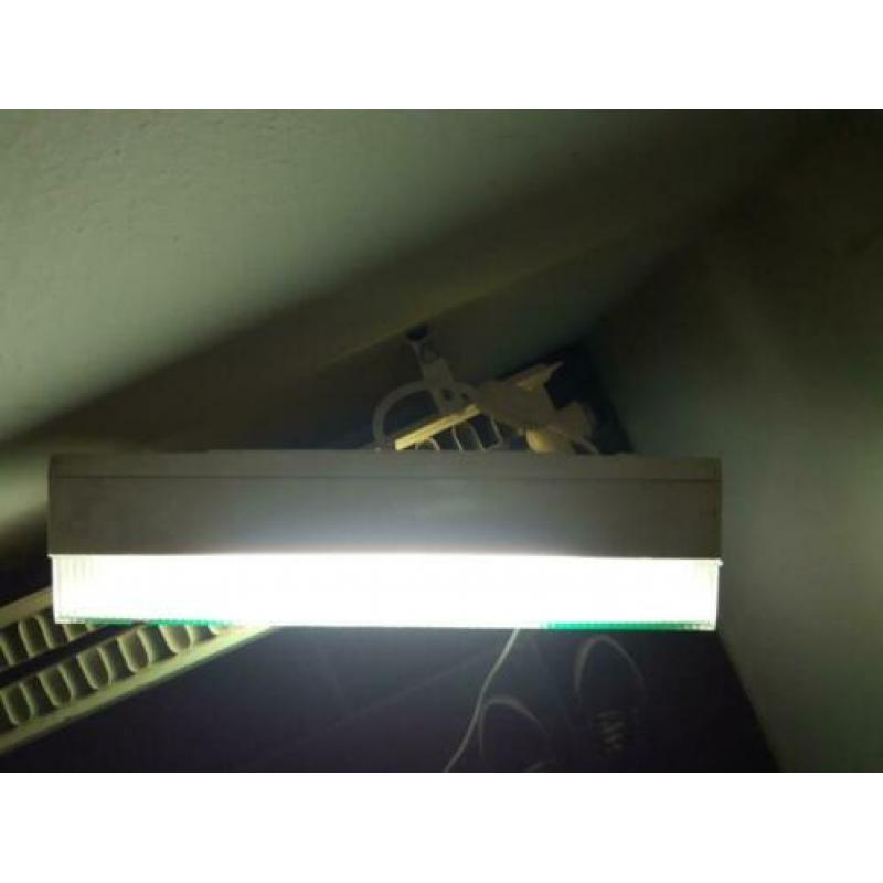 Groen UIT lamp, zo vindt je ze niet veel, erg origineel