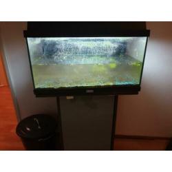 Aquarium