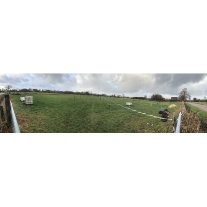 Paarden hotel opvang in uw vakantie tevens vaste plek