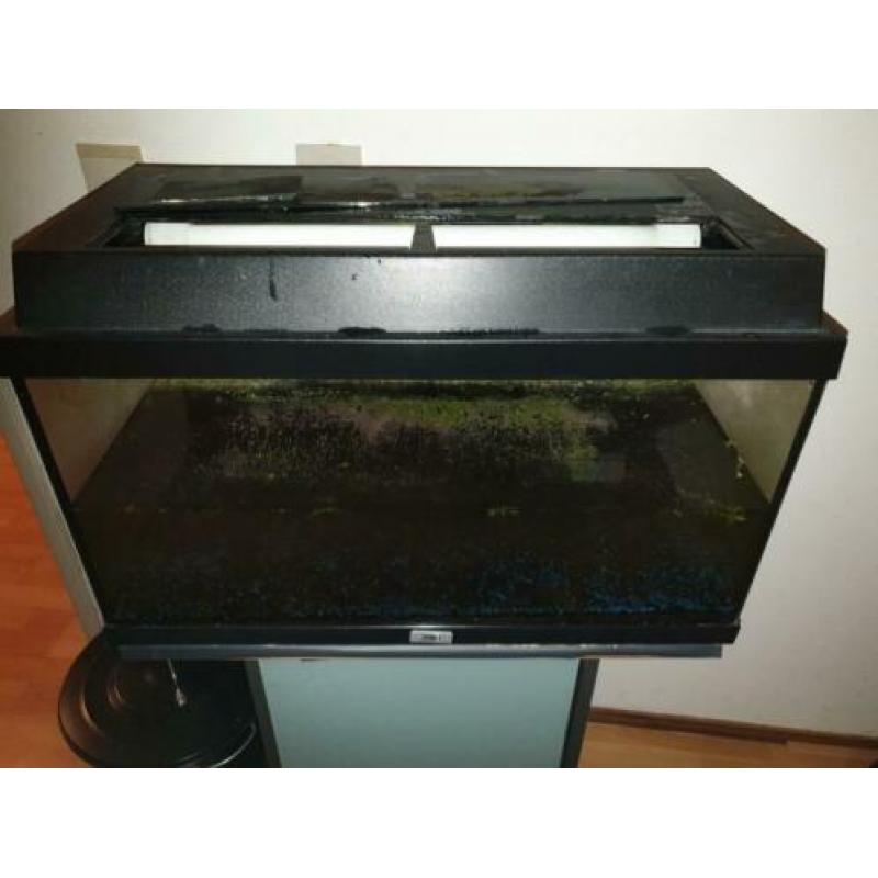 Aquarium