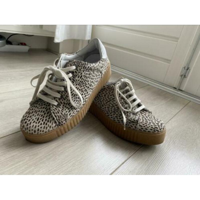 Maruti panter schoenen/ sneakers, maat 40, 1x gedragen
