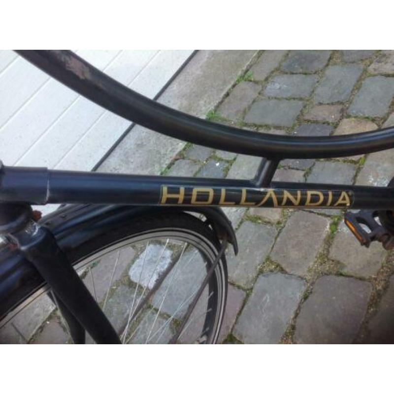 Hollandia omafiets