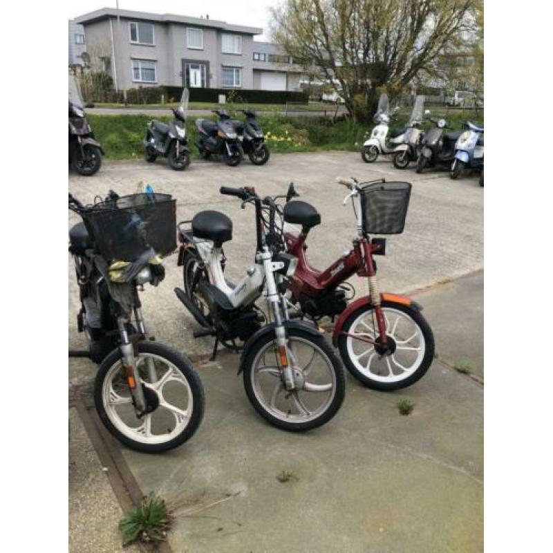 5x Tomos voor de liefhebbers.