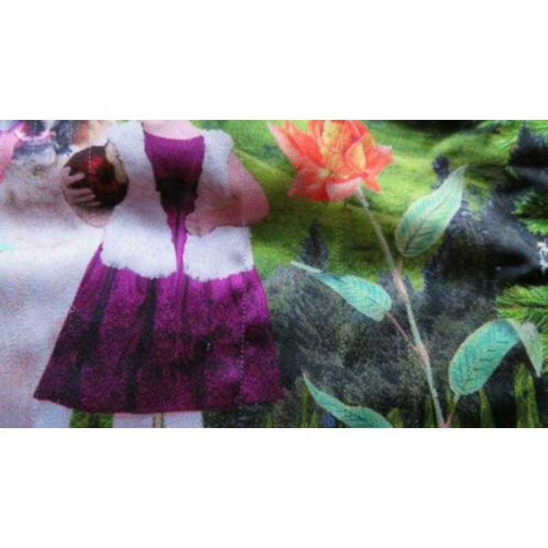 CAKEWALK jurkje met print mt. 98 en 110/116 , zgan