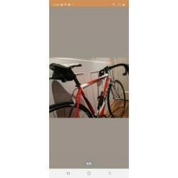 Ridley carbon