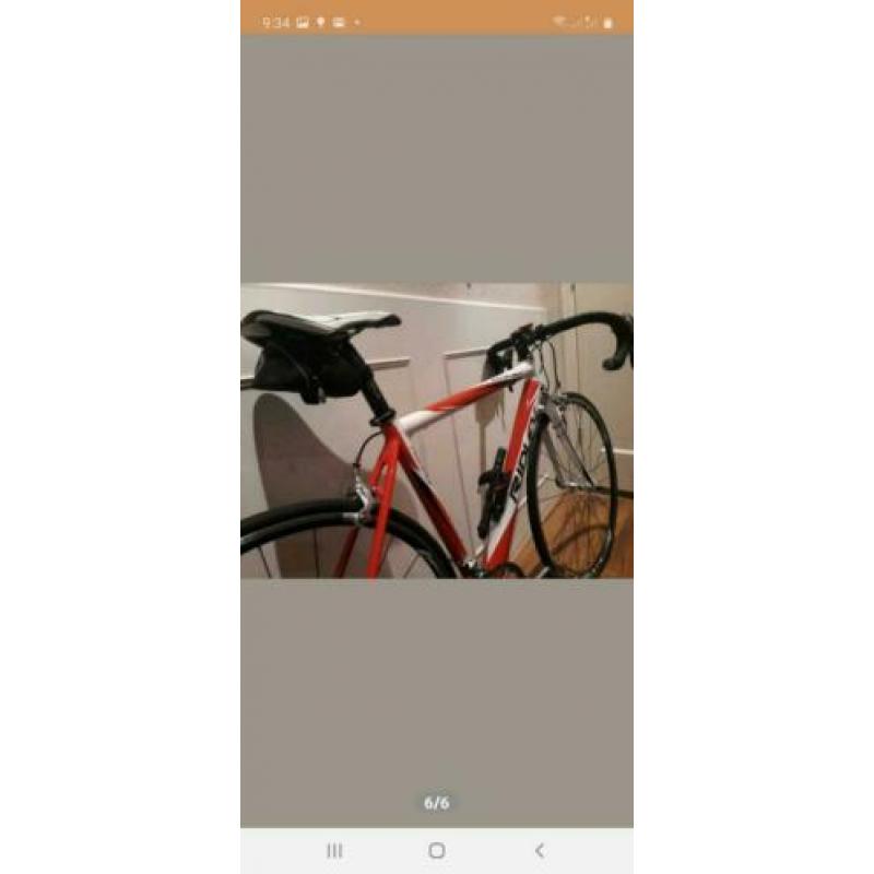 Ridley carbon